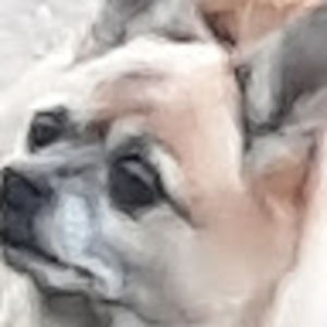 Meet your Posher, Chicken wings